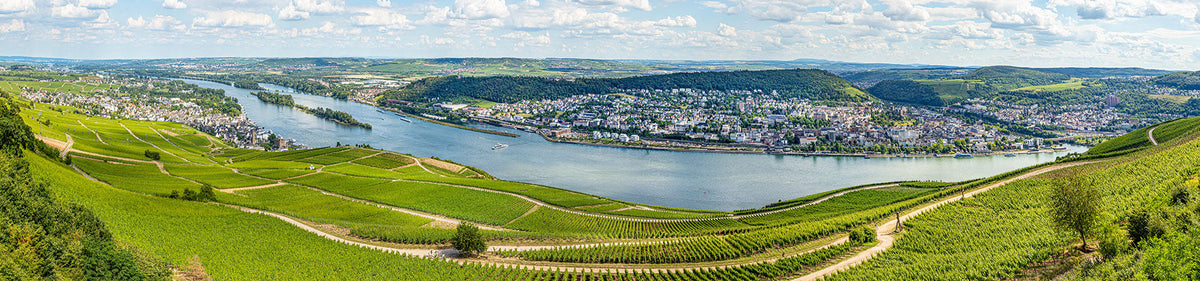 Weinberge am Rhein mit Panoramablick auf die Weinlandschaft – Heimat deutscher Weißweine wie Riesling