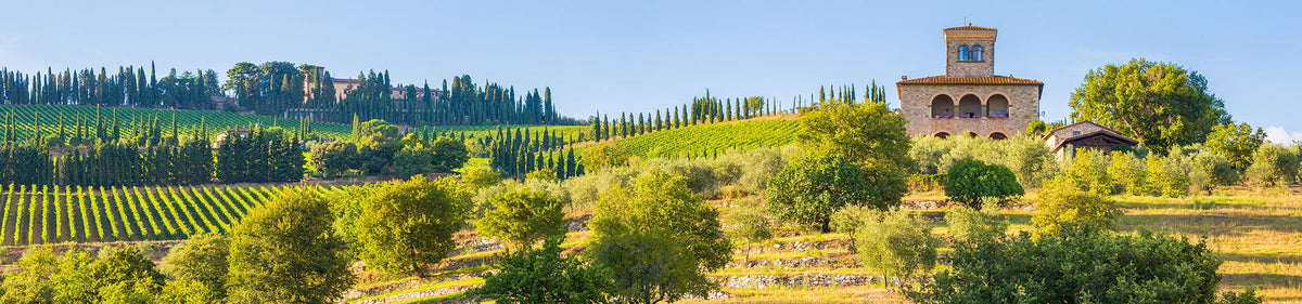 Weinberge mit Zypressen, italienischem Gutshaus und sonniger Landschaft - Herkunft hervorragender Rotweine aus Italien