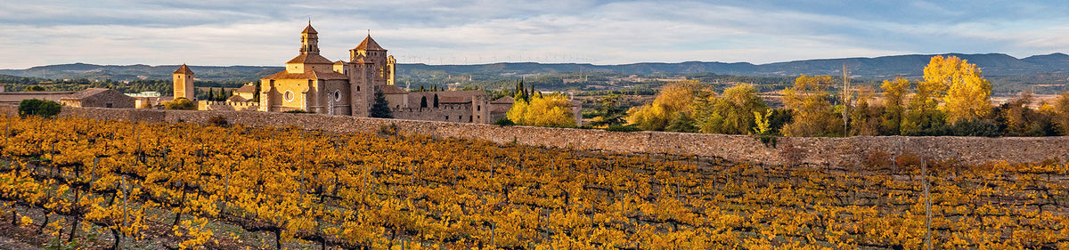 Typische spanische Landschaft mit Weinreben und historischer Architektur, traditionsreiche Region für fruchtige Weißweine