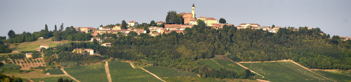 Von Weinbergen umgebenes Dorf auf einer Hügelgruppe im Piemont, der Heimat des Barbera d’Alba