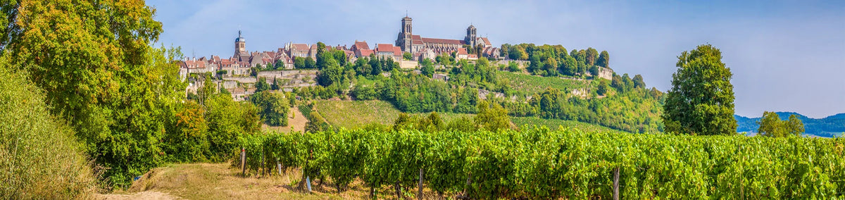 Panoramablick auf einen Weinberg mit einem historischen Dorf auf einem Hügel und einer Kirche im Hintergrund unter blauem Himmel.