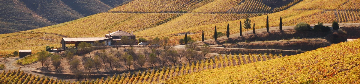 Ein Bauernhaus, umgeben von herbstlichen Weinbergen auf sanften Hügeln unter einem klaren Himmel.