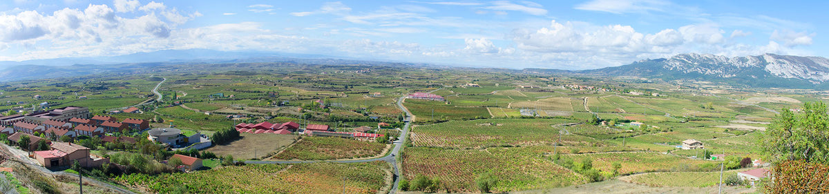 Weinberge und Dörfer in der Rioja-Region in Spanien – bekannt für hochwertige Tempranillo-Weine