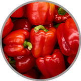 Mehrere rote Paprika in Nahaufnahme zur Darstellung des leicht süßlichen Aromas in Rotwein