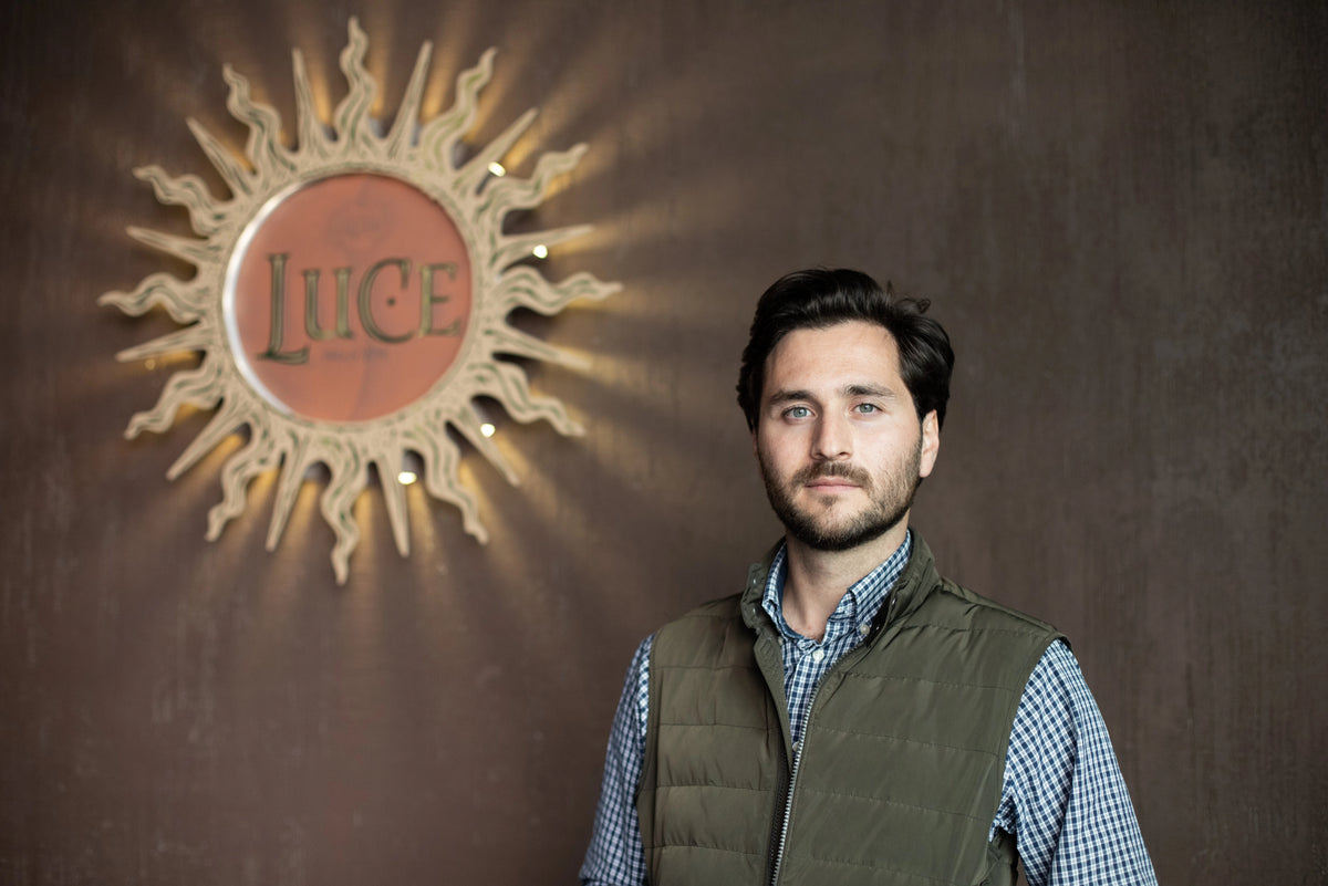 Tenuta Luce