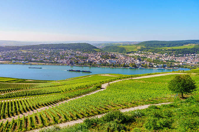 Rheingau