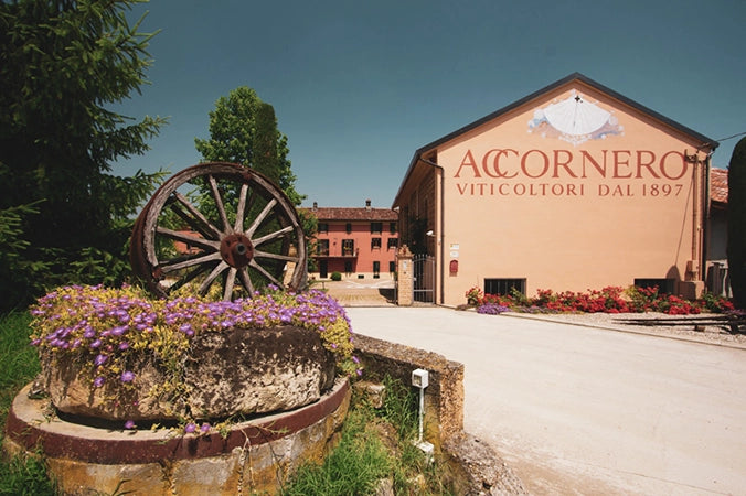 Accornero